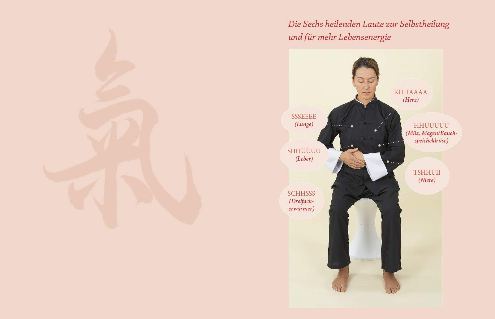 Qigong: Praktische Übungen für die Gesundheit und zur Selbstheilung - Jochum, Inka