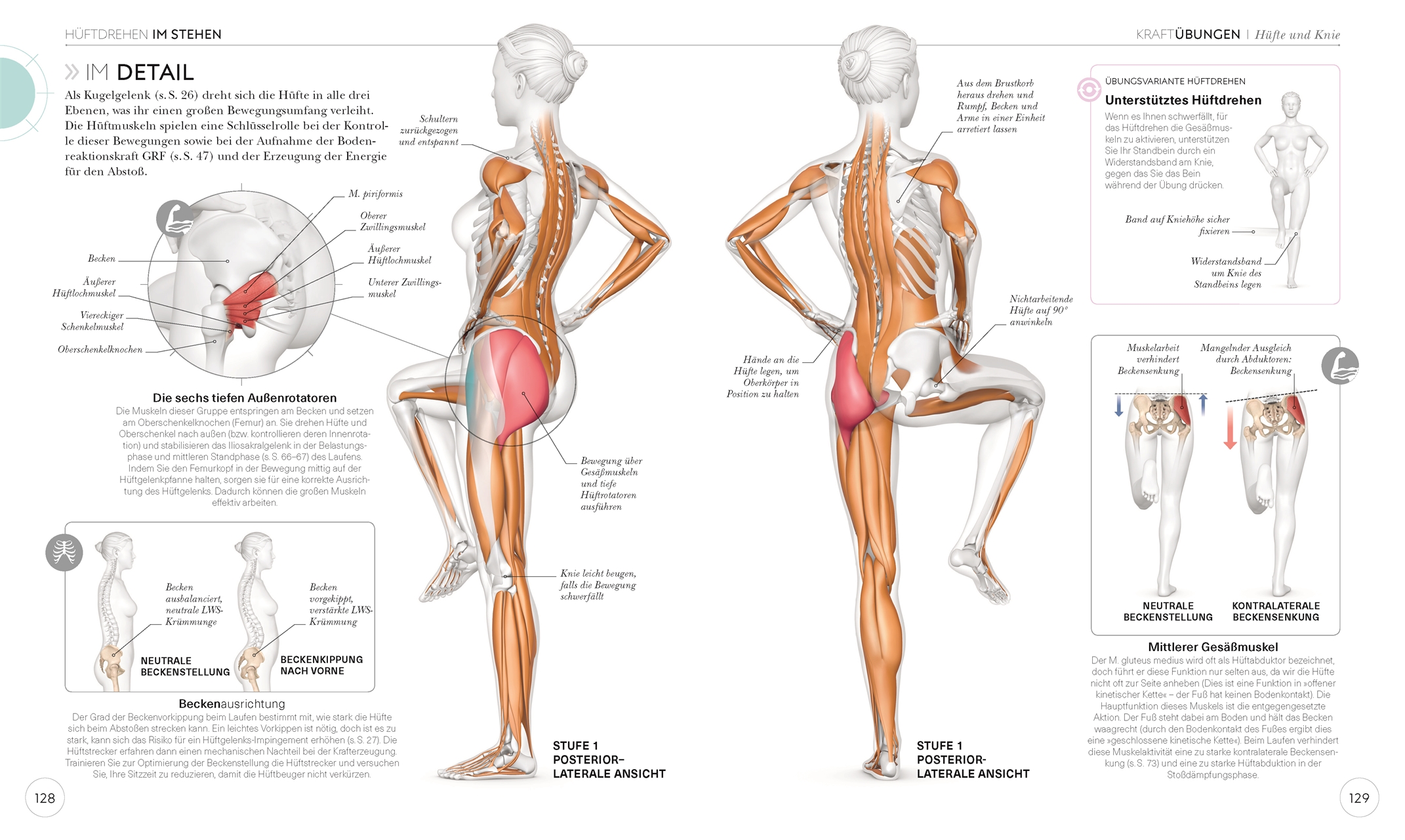 Lauftraining - Die Anatomie verstehen (Chris Napier)
