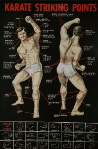 POSTER Karate Ninjutsu Kempo / Nervenpunkte Vitalpunkte