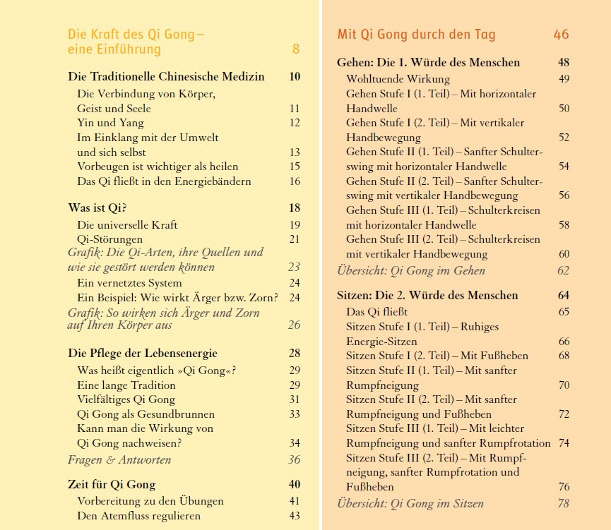 Das große Qi Gong Basisbuch - Sun, Weizhong / Fischer, Florian