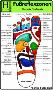 Medizinische Karte A5: Fußreflexzonen Therapie - Fußsohle [1501]