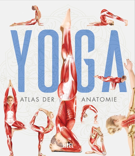 Yoga: Atlas der Anatomie [Tengs, Svenja]